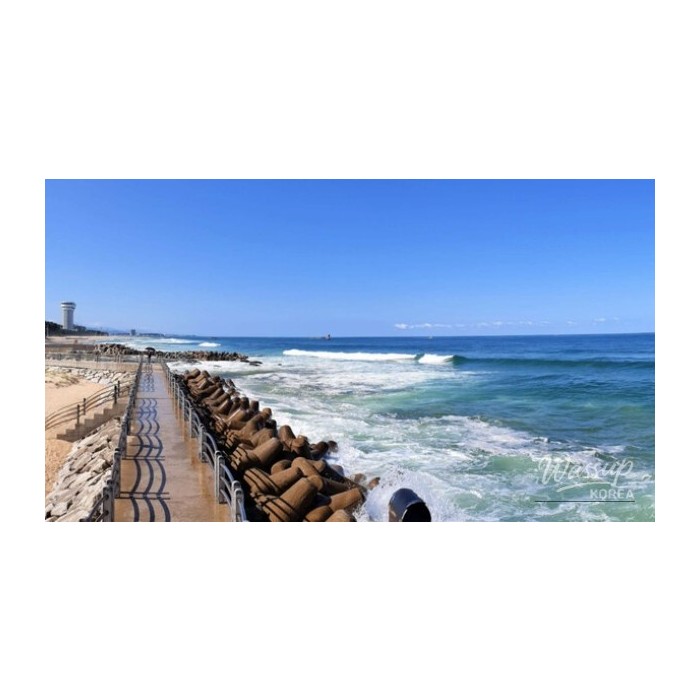 Exploring Gangmun Beach: A Hidden Gem in Gangneung3801