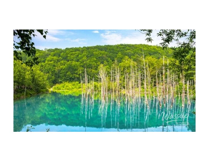 Trends in Travel: Discovering Japan's Charming Small Towns float