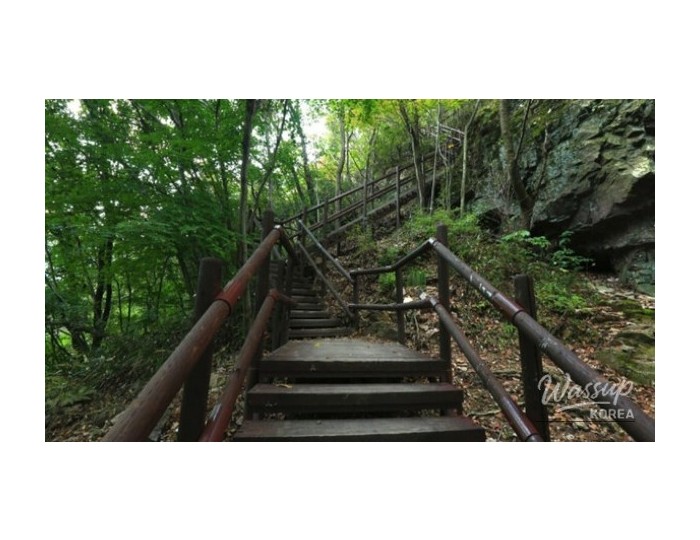 Healing Forest of Geoje: A Nature Retreat float