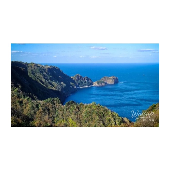 Discover the Hidden Gem of Ulleungdo Island3781