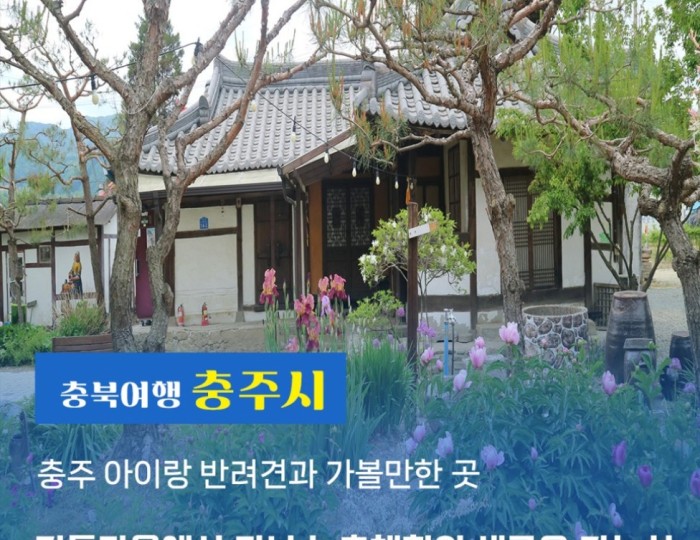 Exploring Gindeul Village: A Pet-Friendly Getaway float