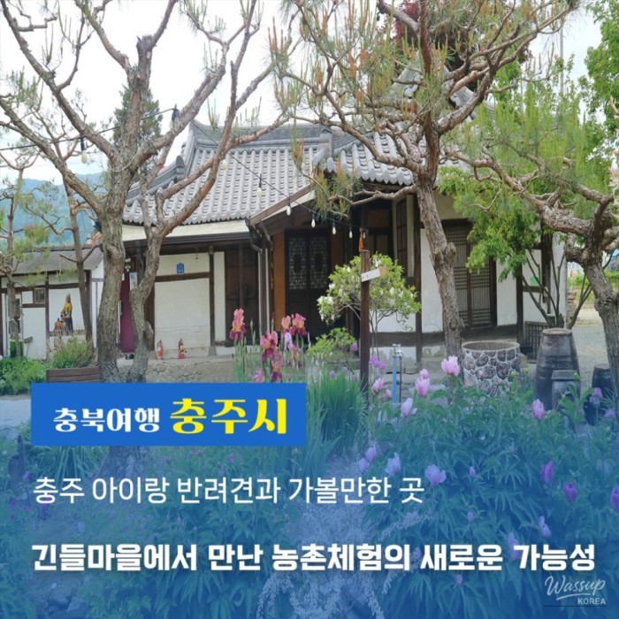 Exploring Gindeul Village: A Pet-Friendly Getaway3785