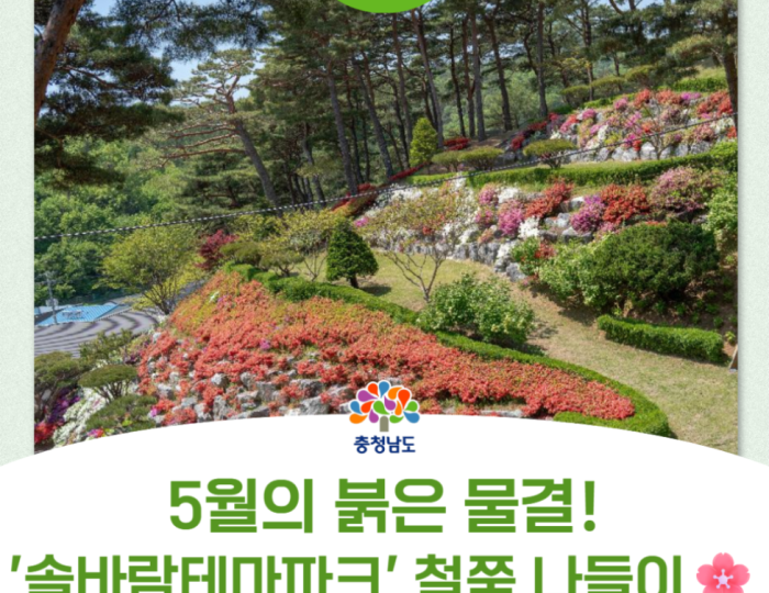 Exploring the Beauty of Hongseong Solbaram Theme Park float