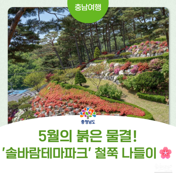 Exploring the Beauty of Hongseong Solbaram Theme Park3791