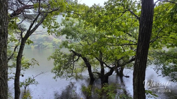 Discover the Enchantment of Jusanji in May_01