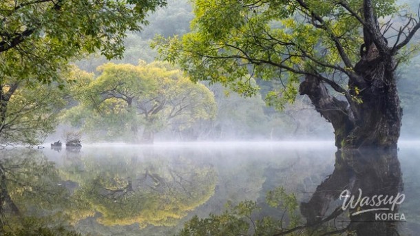Discover the Enchantment of Jusanji in May_03