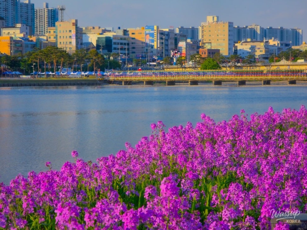 A Spring Outing to Yeongcheon Ecological Park_01