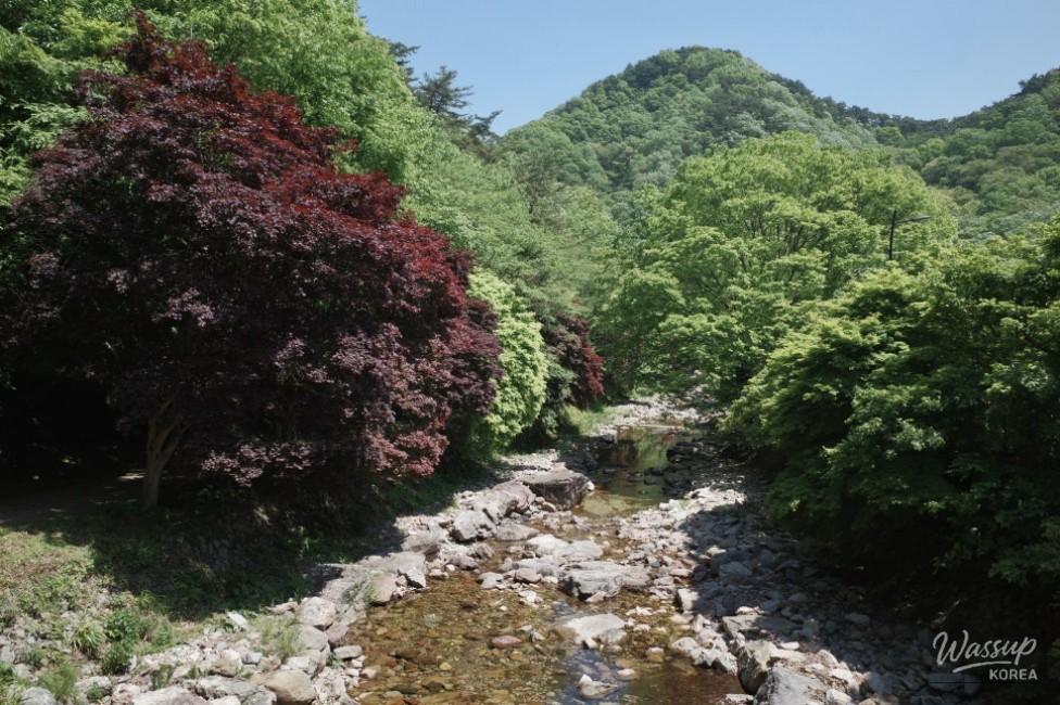 A Relaxing Day in Sunchang, Jeonbuk_03