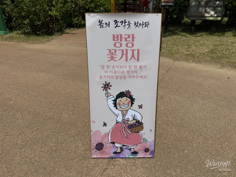 Spring Treasure Hunt at Geochang_06