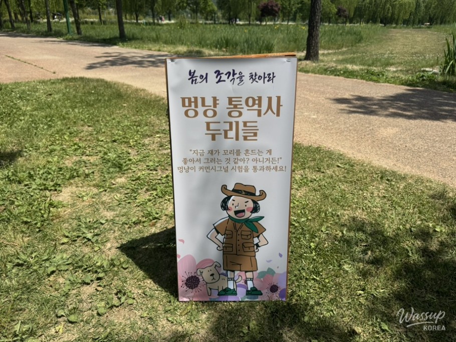 Spring Treasure Hunt at Geochang_12