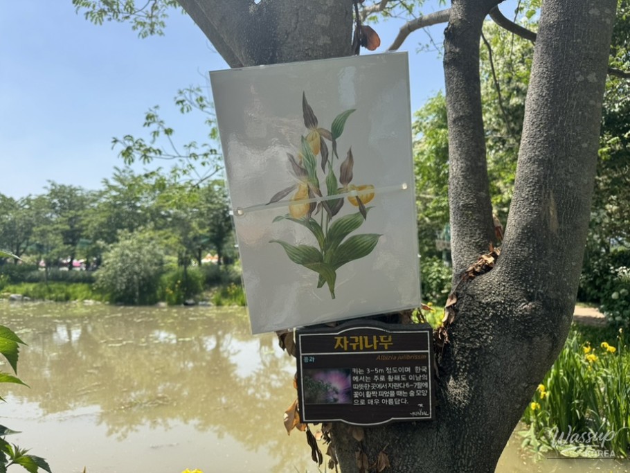 Spring Treasure Hunt at Geochang_16