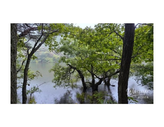 Discover the Enchantment of Jusanji in May float