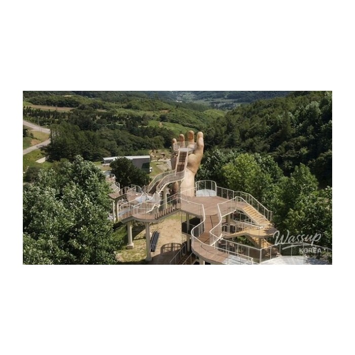 Discover the Unique Charm of Geochang Forest Leisure Sports Park3804