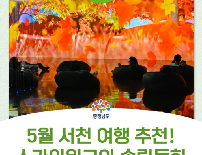 Exploring the Serene Beauty of Janghang in Seocheon float