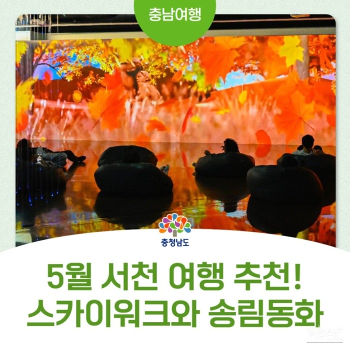 Exploring the Serene Beauty of Janghang in Seocheon3807