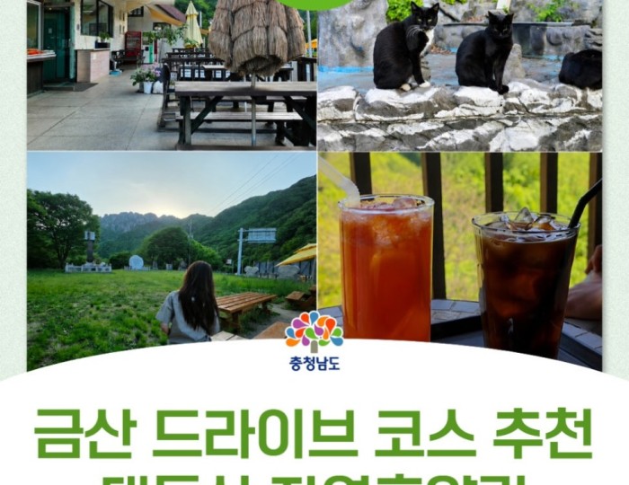 A Scenic Drive to Daeheung Mountain Natural Recreation Forest float