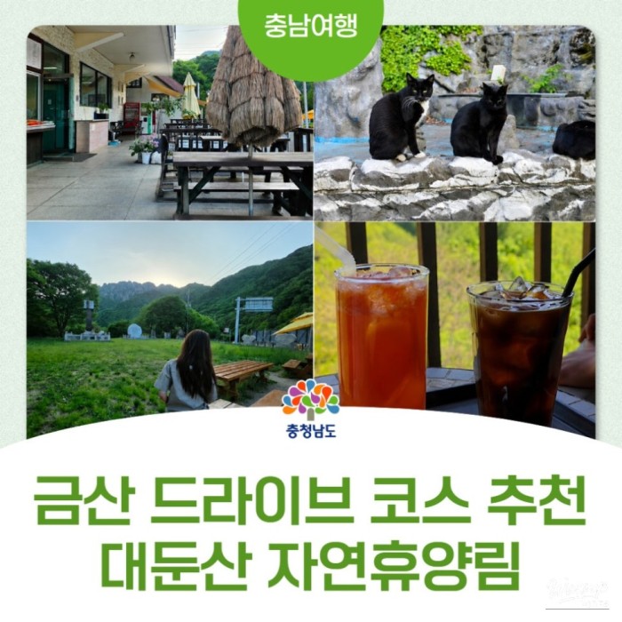 A Scenic Drive to Daeheung Mountain Natural Recreation Forest3812