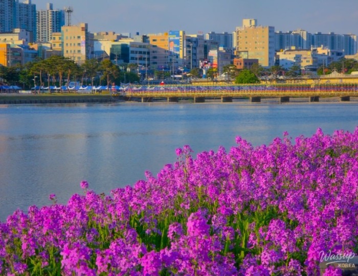 A Spring Outing to Yeongcheon Ecological Park float