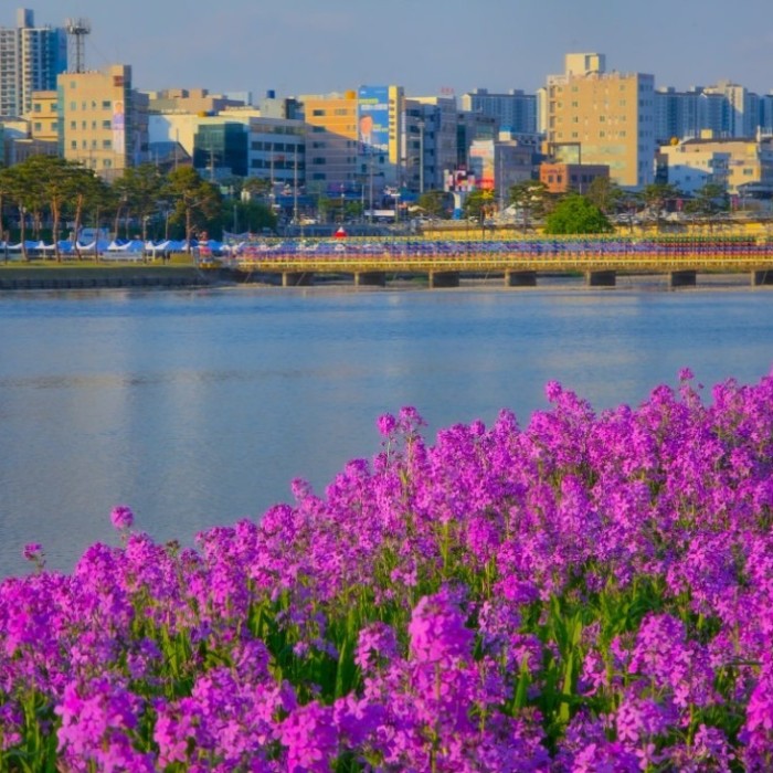 A Spring Outing to Yeongcheon Ecological Park1831