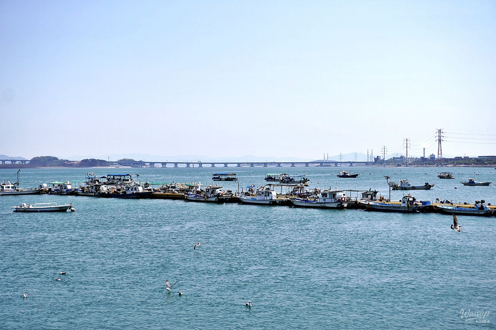 Explore Han Jin Port: A Coastal Adventure with Local Seafood_04