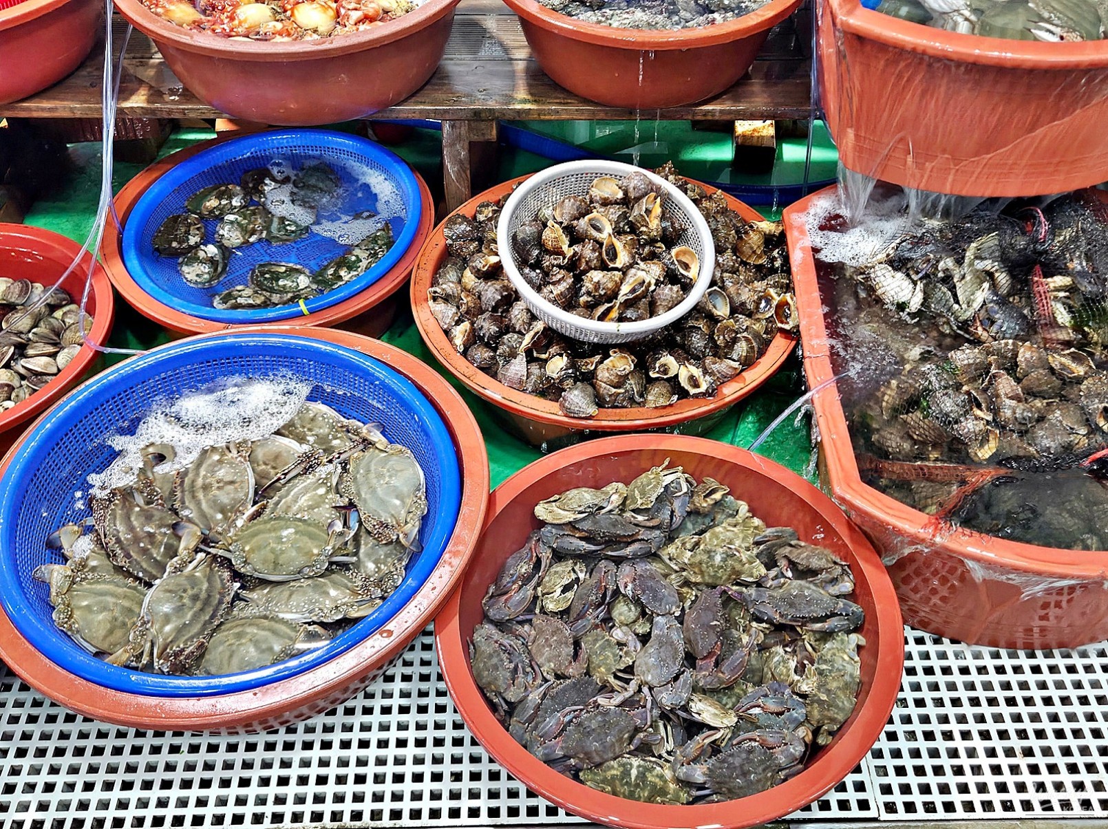 Explore Han Jin Port: A Coastal Adventure with Local Seafood_08