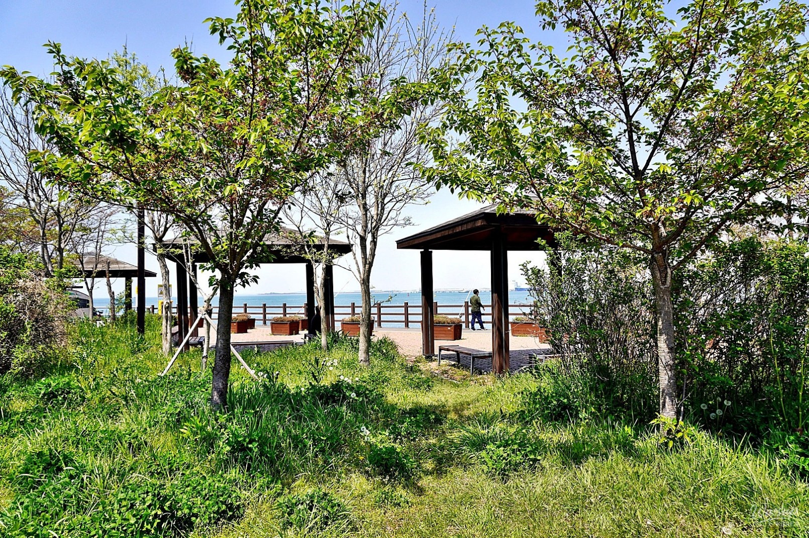 Explore Han Jin Port: A Coastal Adventure with Local Seafood_23