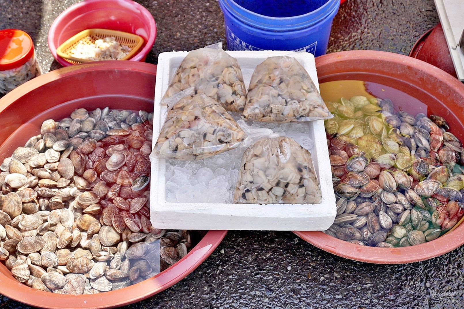 Explore Han Jin Port: A Coastal Adventure with Local Seafood_13