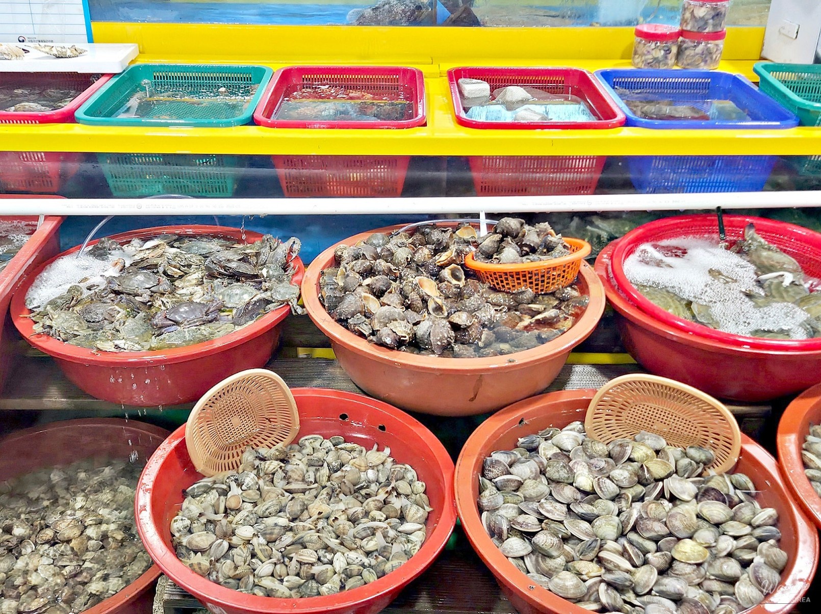 Explore Han Jin Port: A Coastal Adventure with Local Seafood_09