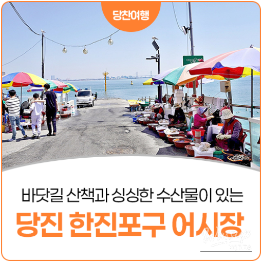 Explore Han Jin Port: A Coastal Adventure with Local Seafood_26