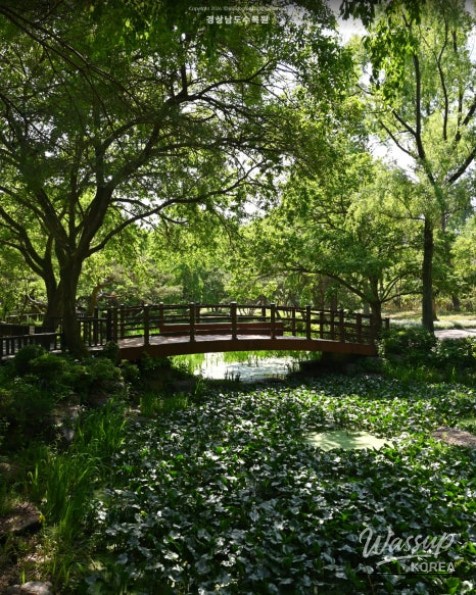 Recommended Picnic Spots in Jinju, Gyeongnam for May_10
