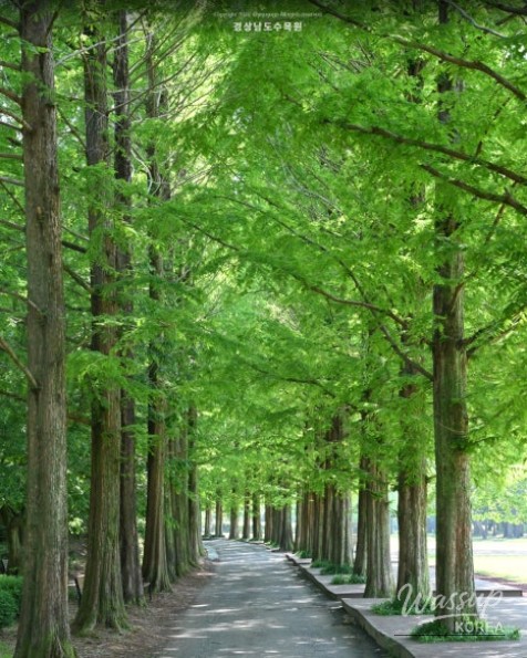 Recommended Picnic Spots in Jinju, Gyeongnam for May_06