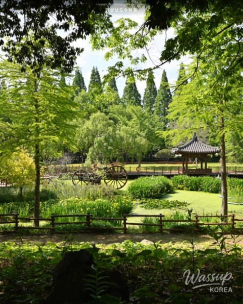 Recommended Picnic Spots in Jinju, Gyeongnam for May_12