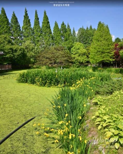 Recommended Picnic Spots in Jinju, Gyeongnam for May_09