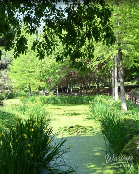 Recommended Picnic Spots in Jinju, Gyeongnam for May_11