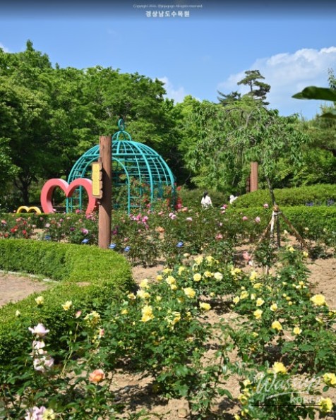 Recommended Picnic Spots in Jinju, Gyeongnam for May_13