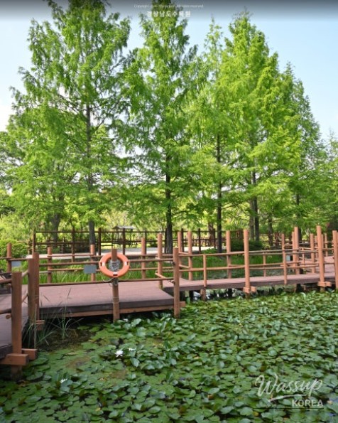 Recommended Picnic Spots in Jinju, Gyeongnam for May_14
