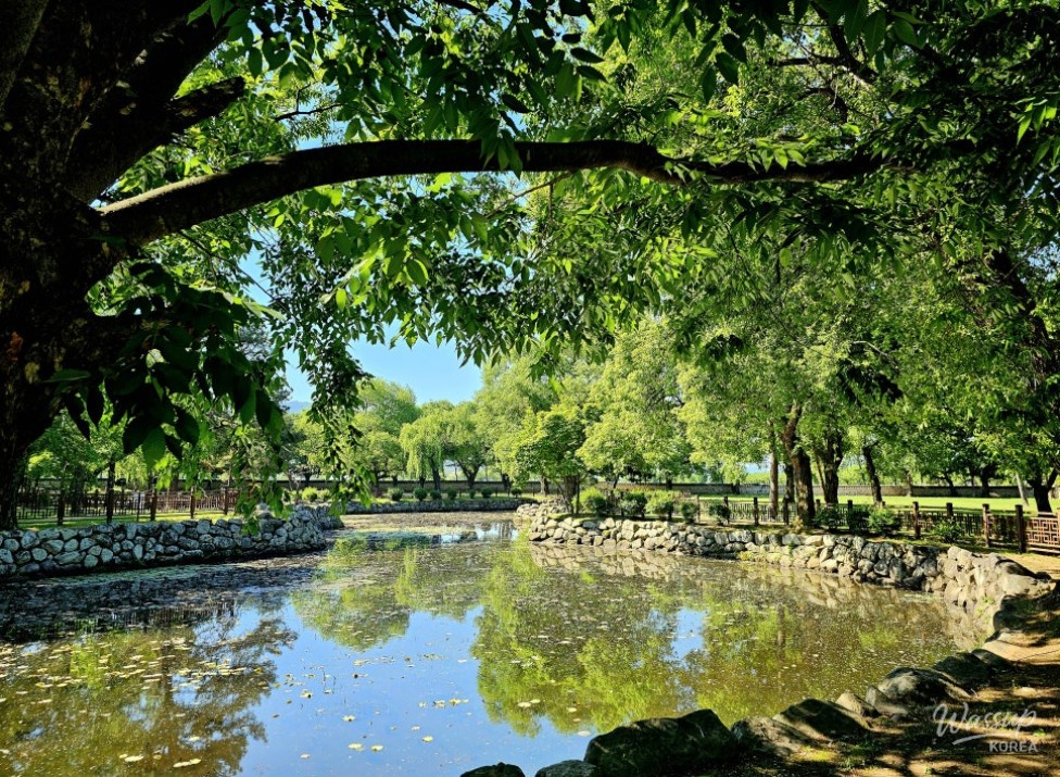 A Tranquil One-Day Tour of Gyeongju with Your Parents_01