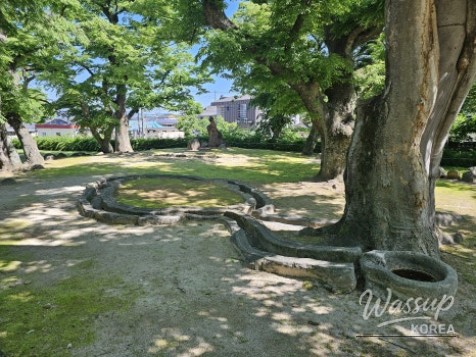 A Tranquil One-Day Tour of Gyeongju with Your Parents_06
