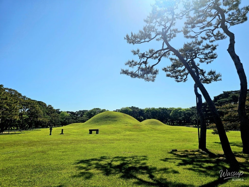A Tranquil One-Day Tour of Gyeongju with Your Parents_04
