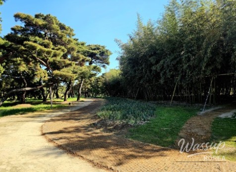 A Tranquil One-Day Tour of Gyeongju with Your Parents_03