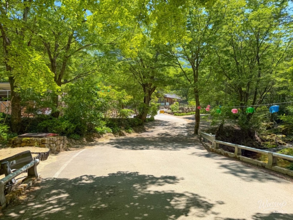 Exploring the Tranquil Gakyun Temple in Goesan_03
