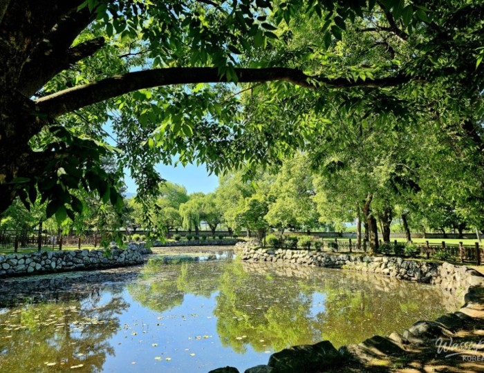 A Tranquil One-Day Tour of Gyeongju with Your Parents float