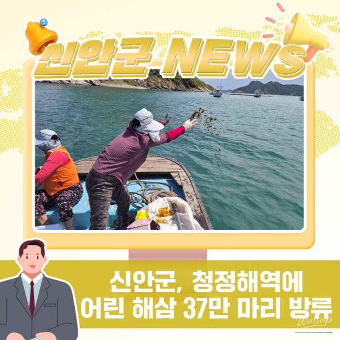 Shinan County Enhances Marine Ecosystem and Boosts Fishermen
