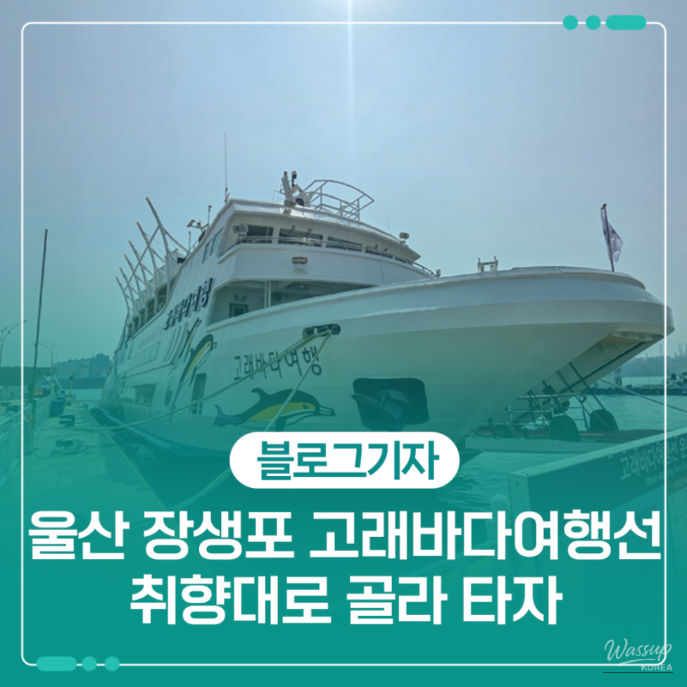Exploring the Whale Watching Experience in Ulsan_01