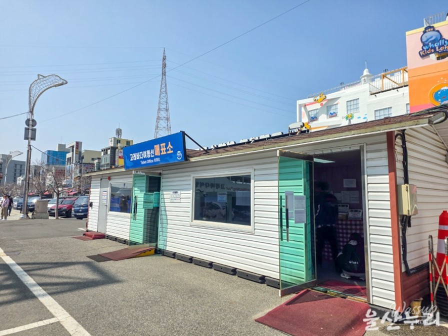 Exploring the Whale Watching Experience in Ulsan_03