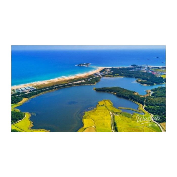 Exciting New Coastal Attractions in Gangwon-do3837