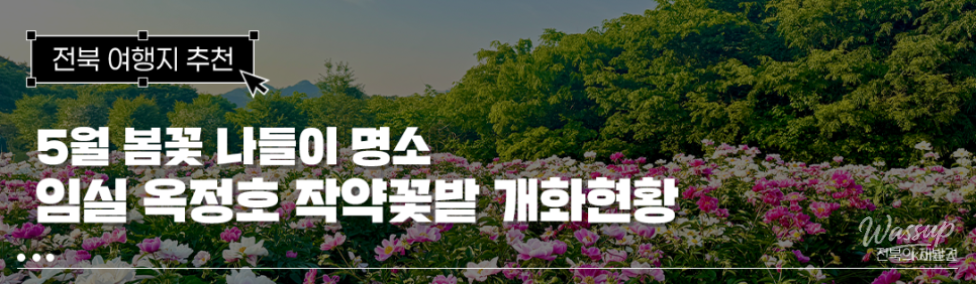 A Visit to the Peony Fields in Imsil, Jeonbuk_01