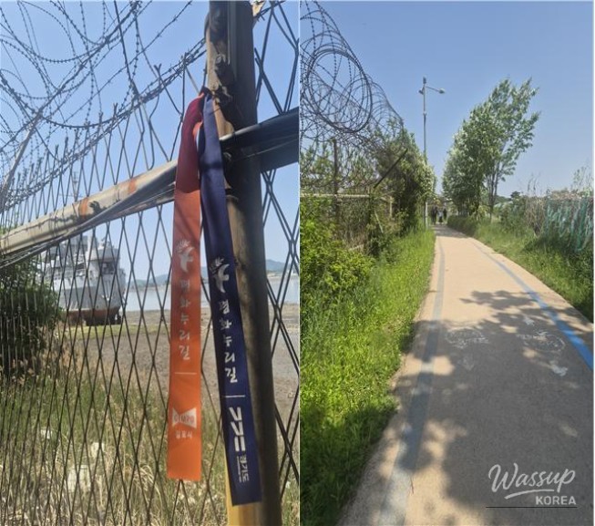 Exploring the Kimpo Peace Trail: A Journey Through History and Nature_05