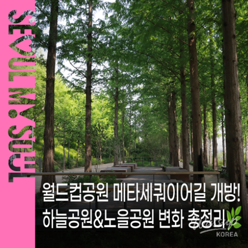 Explore the Healing Spots of Seoul World Cup Park_01