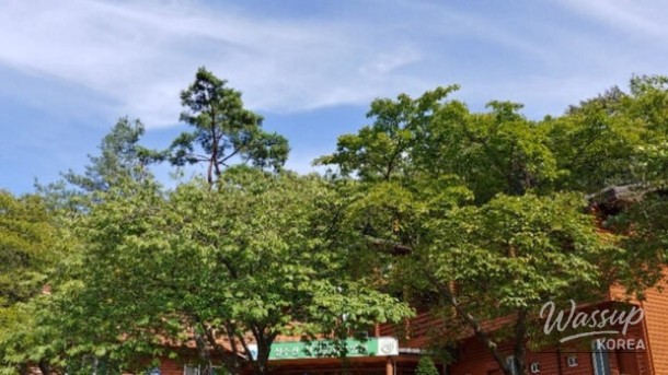 Discover the Healing Retreat of Seongjusansan Natural Recreation Forest in Boryeong_05
